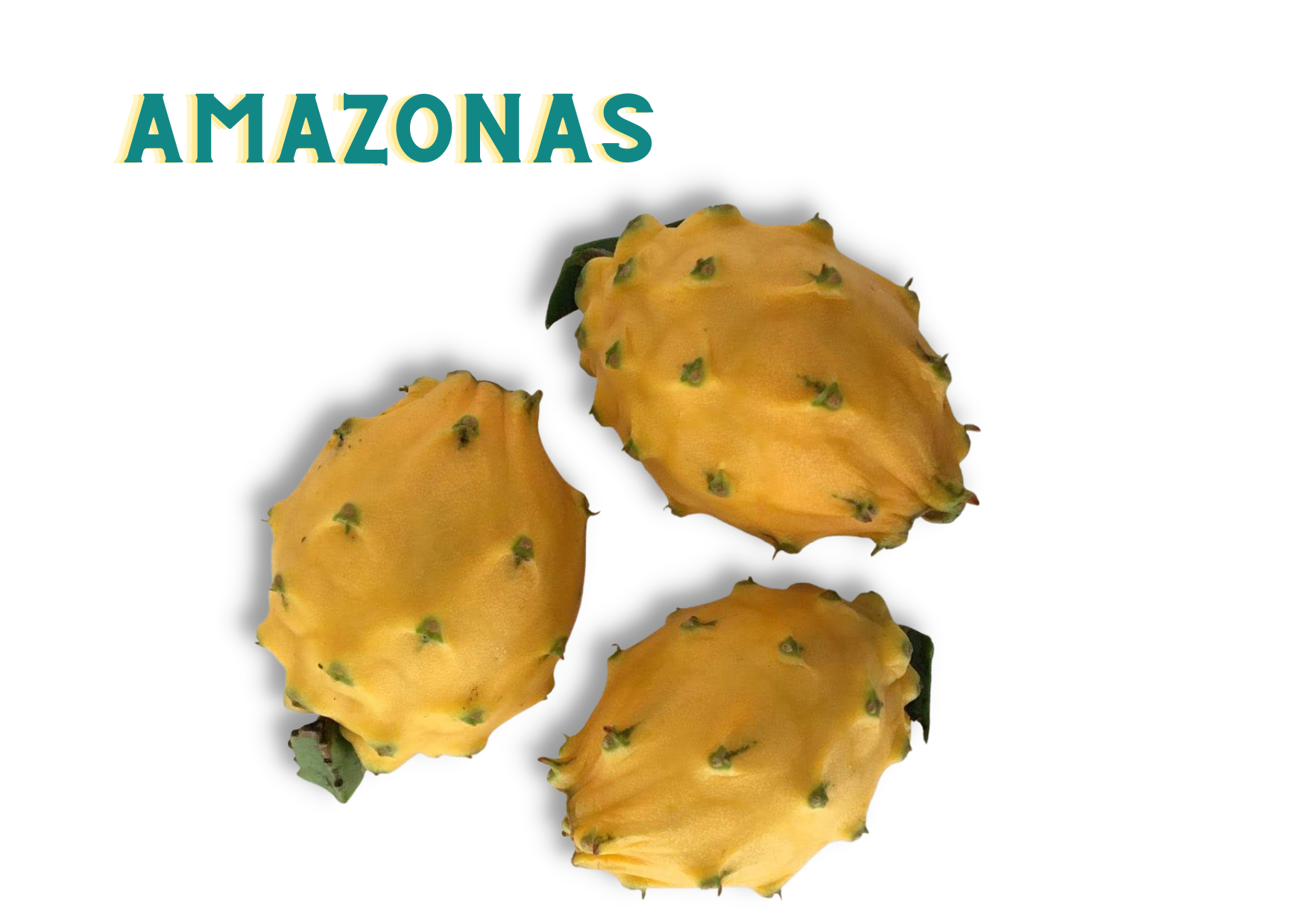 Amazonas-sweetpitaya